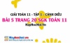 Giải bài 5 trang 20 Toán 11 tập 1 SGK Cánh Diều